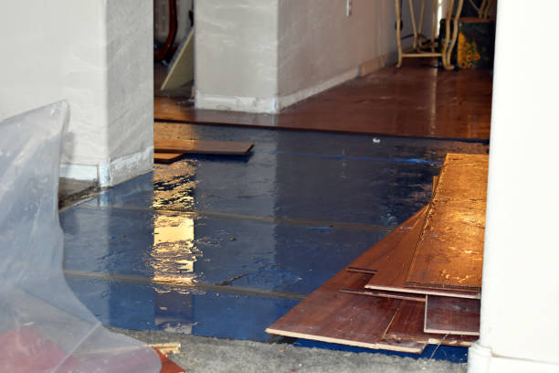 Professional Basement Flood Cleanup technician working in Oak Vale, MS